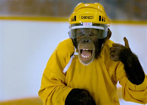 Hockey monkey - 